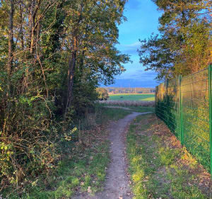 Balade matinale à travers champs - Maurecourt - 5