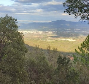 Autour de Roquebrune-sur-Argens - Roquebrune-sur-Argens - 3