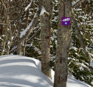 Bec Charvet Circuit - Plateau-des-Petites-Roches - 6