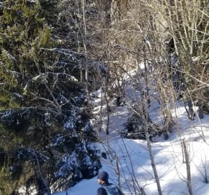 Bec Charvet Circuit - Plateau-des-Petites-Roches - 7