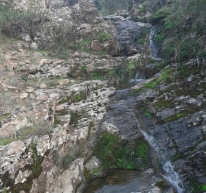 Balade vallonnée des arbousiers - Roquebrune-sur-Argens - 3