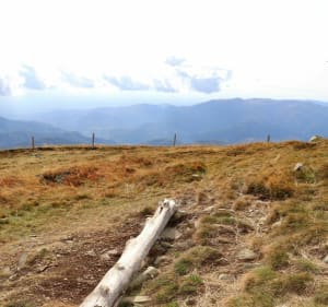 Sommet du Grand Ballon depuis Geishouse - Geishouse - 3