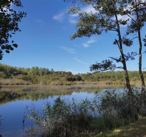 Tour des lacs Saint-Paul-les-Dax - Saint-Paul-lès-Dax - 4