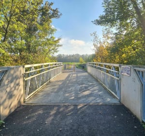 Entre forêt et passerelles de Fegersheim à Hipsheim - Fegersheim - 5