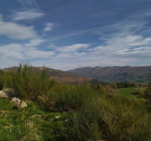 Le rocher Saint Curiat depuis Vic sur Cere - Vic-sur-Cère - 3