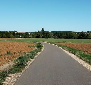 Balade le long de la Seille - Montigny-lès-Metz - 3