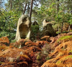 Mont-Ussy - Fontainebleau - 3