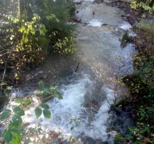 Le Gour de Conche - Salins les Bains - 5