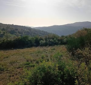 Un petit tour dans les Bois de Peymeinade en VTT - Peymeinade - 5