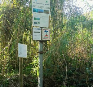 VTT Le long de la Cèze - Bagnols-sur-Cèze - 4