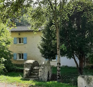 Autour de Saint-Georges, Fontaine, Ensoulesse, bois de Vayres - Saint-Georges-lès-Baillargeaux - 4