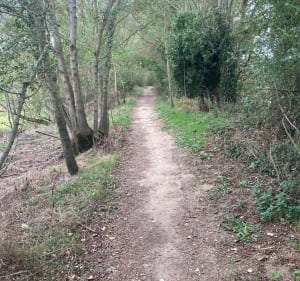 Vtt bord de Loire Montjean Chalonnes - Mauges-sur-Loire - 3