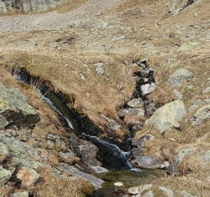 Montée vers le refuge Robert Blanc - Bourg-Saint-Maurice - 5