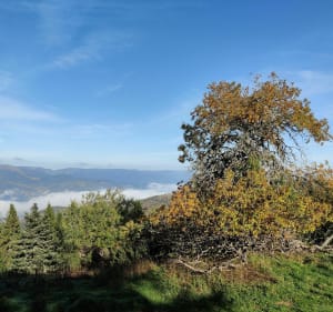 Le Steinberg et le chalet Bockwasen - Sondernach - 5