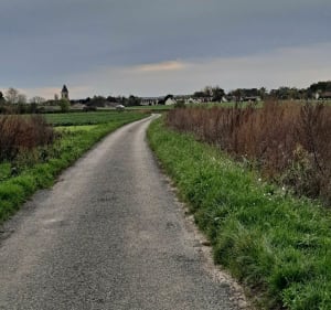 Balade par les sentiers de Lisses à Vert-le-Grand - Decathlon - 5