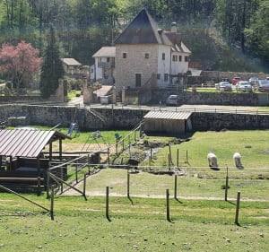 Boucle de Bouvier à l'étang Saint Sernin et Parc des Combes - Le Creusot - 4