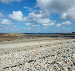 En longeant la côte de Port l'épine à Port blanc - Trélévern - 4