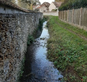 Randonnée nature - Champeaux - 4