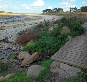 En longeant la côte de Port l'épine à Port blanc - Trélévern - 2