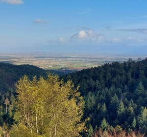 De Notre-Dame de Thierenbach au Hartmannswillerkopf - Jungholtz - 3