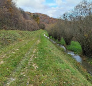 La Creuse et les fontaines autour du fort de Blamont - Blamont - 5