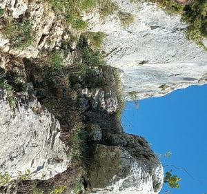 Balade par les falaises de Cessens - Magalie - 3
