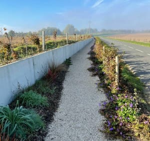 Boucle au sud-ouest de Caudry - Caudry - 5