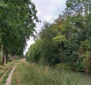 De Condé à Meaux par les canaux - Condé-Sainte-Libiaire - 5