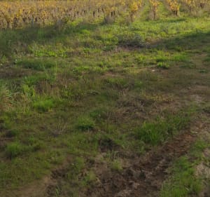 Les environs de Saint-Philbert et la Boulogne à VTT - Saint-Philbert-de-Grand-Lieu - 4
