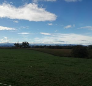 Boucle Lucq de Béarn - Lucq-de-Béarn - 3