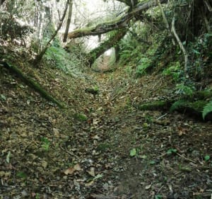 Boucle Lucq de Béarn - Lucq-de-Béarn - 4