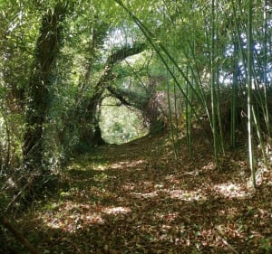 Boucle Lucq de Béarn - Lucq-de-Béarn - 5