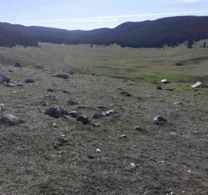 Prairie De Darbounouse - Saint-Martin-en-Vercors - 5