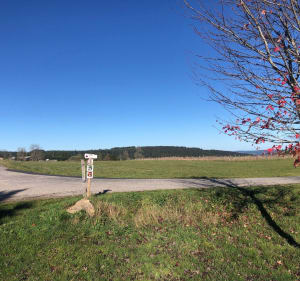Tour de Saint-Bonnet-le-Froid - Saint-Bonnet-le-Froid - 3