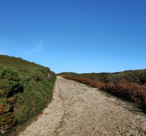 Sur les traces de notre histoire, landes et littoral Cotentin - Fermanville - 3