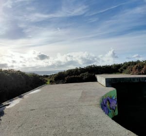 Sur les traces de notre histoire, landes et littoral Cotentin - Fermanville - 4