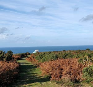 Sur les traces de notre histoire, landes et littoral Cotentin - Fermanville - 5