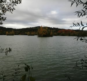 Les lacs des Barthes de Biron - Decathlon - 4