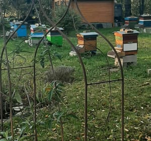Belle sortie des Eboulures à la plaine agricole - Montigny les Cormeilles - 4