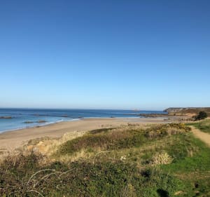 Wandel rond Pléhénel-Plage en Cap Fréhel - Fréhel - 4