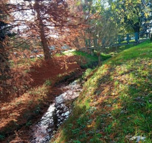 Roissy en Brie 11/11/22 - Roissy-en-Brie - 3
