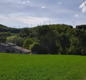 Bois de Sensouze, le Filan - Grane - 4