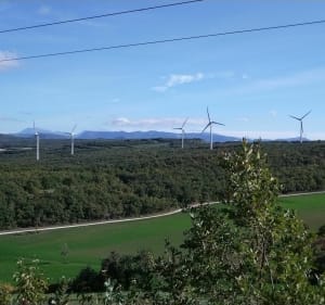 Bois de Sensouze, le Filan - Grane - 5