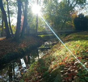 Roissy en Brie 11/11/22 - Roissy-en-Brie - 5