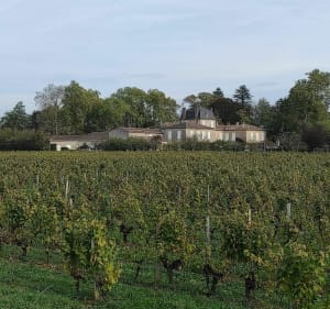 Petite balade au cœur des vignobles Barsacais à VTC - Barsac - 5