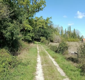 Pierrefitte et son lavoir - Pierrefitte-sur-Sauldre - 3