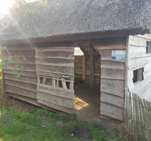 Tour de l'étang de Lannenec - Guidel - 3