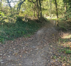 Tour de l'étang de Lannenec - Guidel - 4
