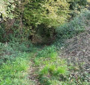 Balade tranquille Fure et pont du bœuf   longeant la rivière - Rives - 5