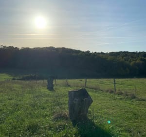 Boucle du Land’art - Bourrou - 3
